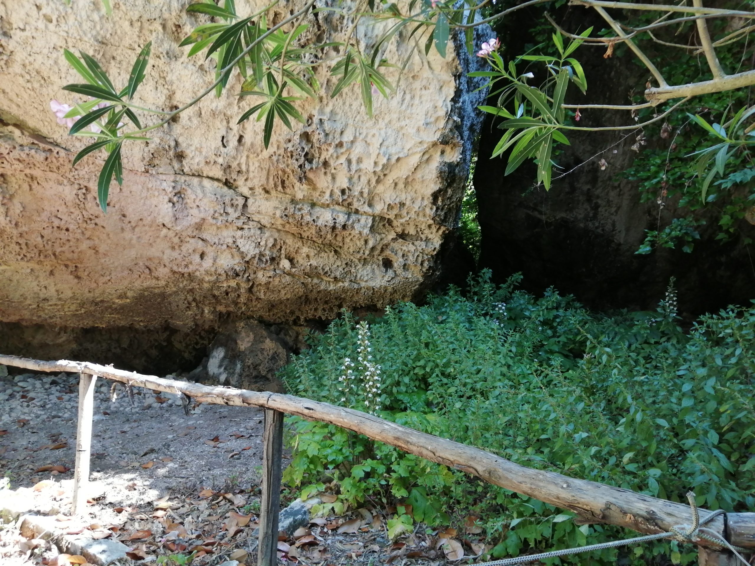 IMG_20200607_104051